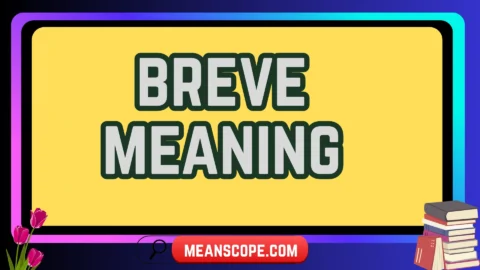 breve meaning