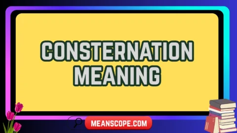 consternation meaning