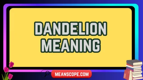 dandelion meaning