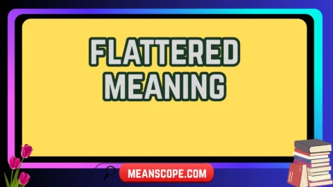 flattered meaning