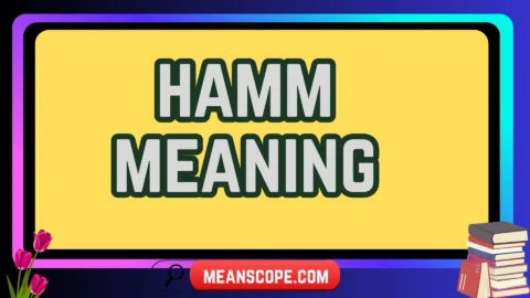 hamm meaning