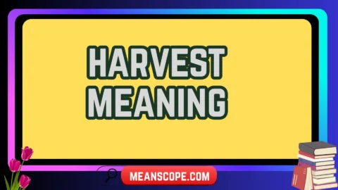 harvest meaning