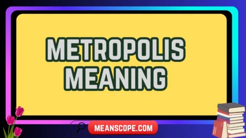 metropolis meaning