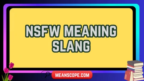 nsfw meaning slang