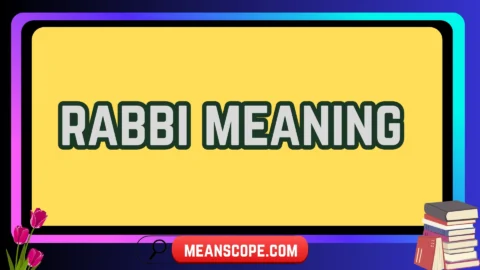 rabbi meaning