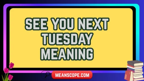 see you next tuesday meaning