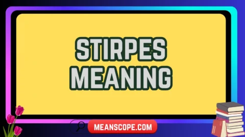 stirpes meaning