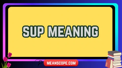 sup meaning