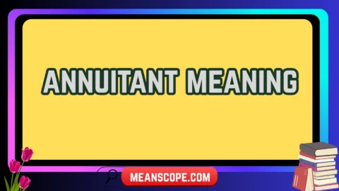 annuitant meaning