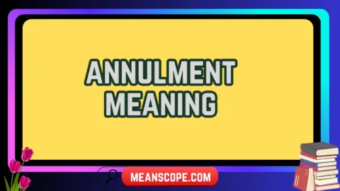 annulment meaning