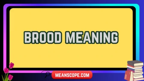 brood meaning