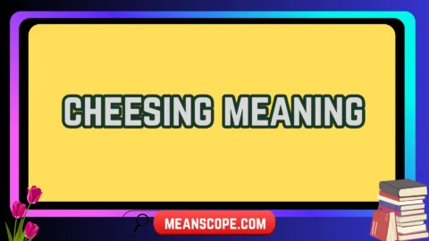 cheesing meaning