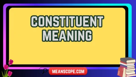 constituent meaning