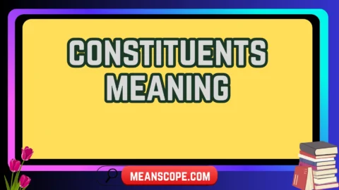 constituents meaning