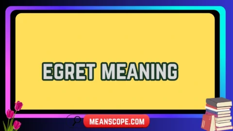 egret meaning