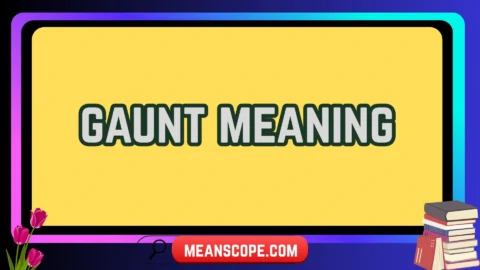gaunt meaning