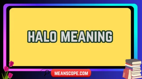 halo meaning