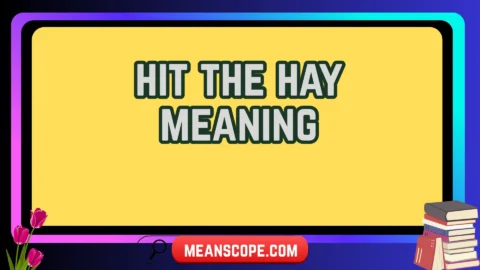 hit the hay meaning