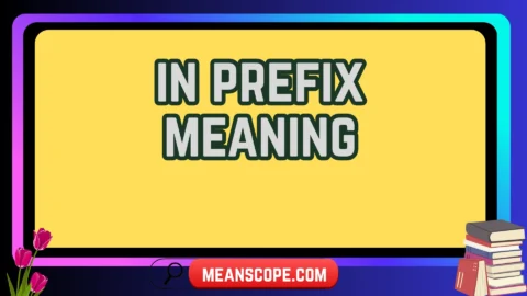 in prefix meaning