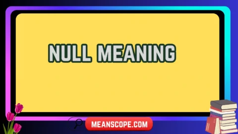 null meaning