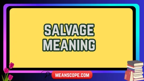salvage meaning