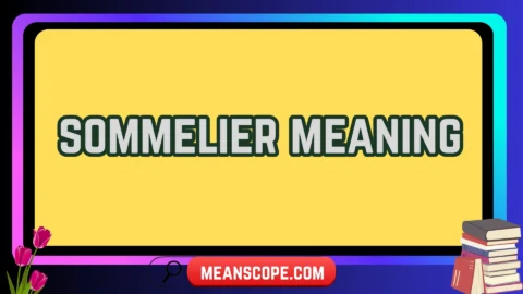 sommelier meaning
