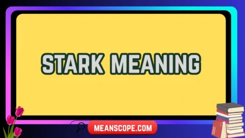 stark meaning
