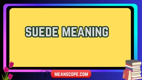 suede meaning