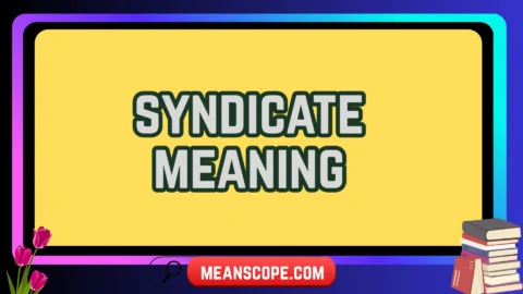 syndicate meaning