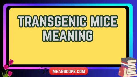 transgenic mice meaning