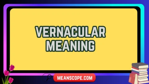 vernacular meaning