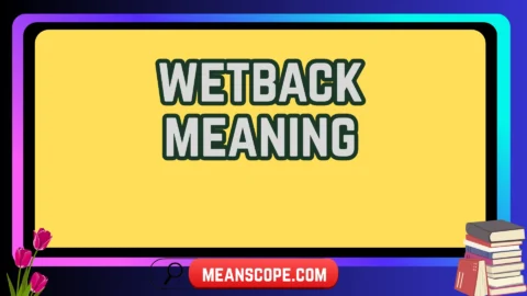 wetback meaning