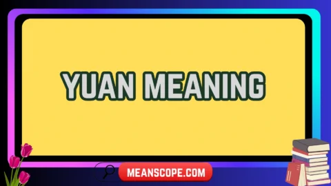 yuan meaning