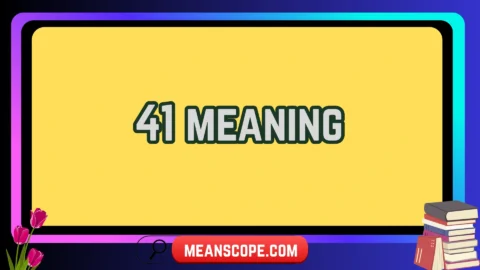 41 meaning