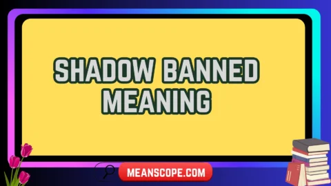 shadow banned meaning