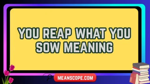 you reap what you sow meaning